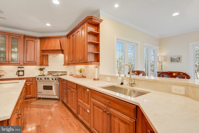 kitchen with luxury range, ornamental molding, sink, and custom exhaust hood