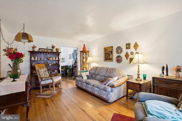 living room featuring hardwood / wood-style flooring