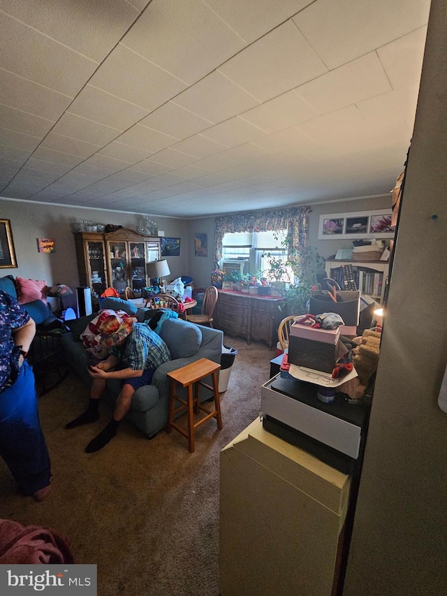 living room featuring carpet floors