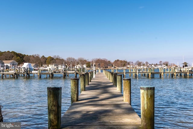 dock area with a water view