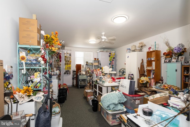 misc room with ceiling fan and carpet floors