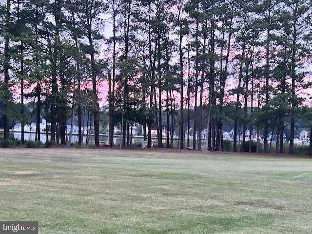 view of home's community with a lawn