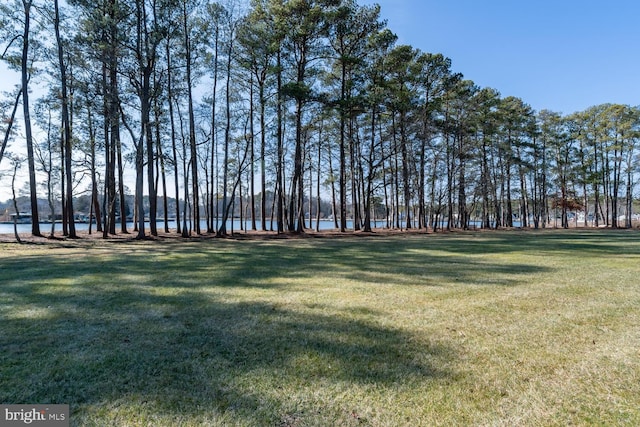 view of property's community with a yard and a water view