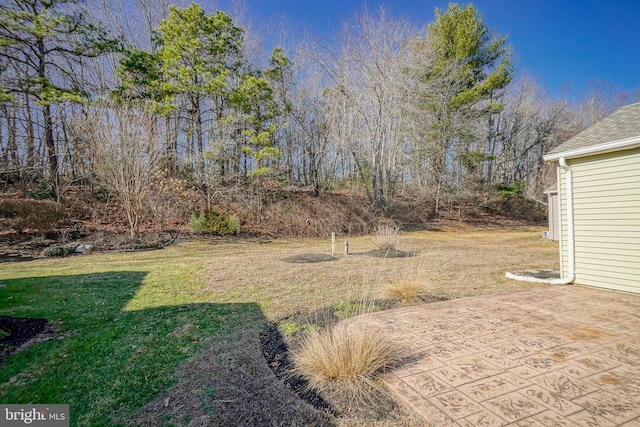 view of yard featuring a patio area