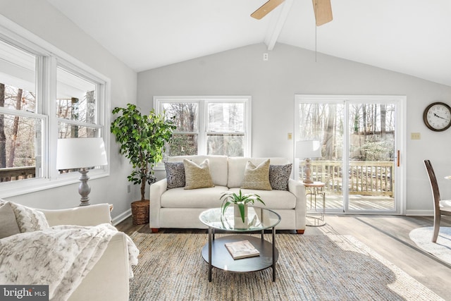 living room with wood-type flooring, lofted ceiling with beams, ceiling fan, and plenty of natural light