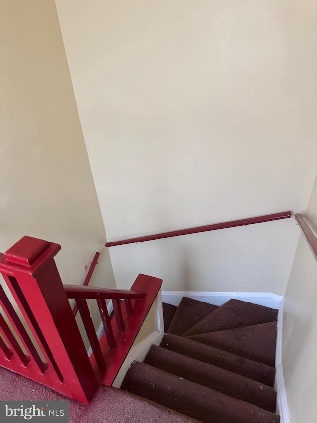 staircase with carpet