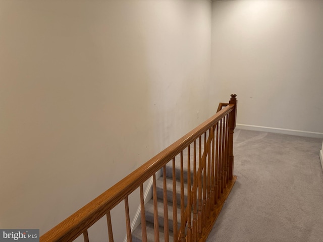 stairs featuring carpet floors