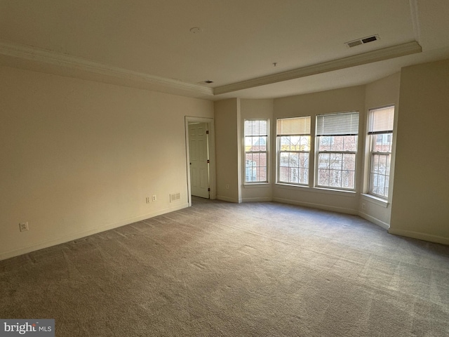 empty room with a raised ceiling, ornamental molding, and light carpet