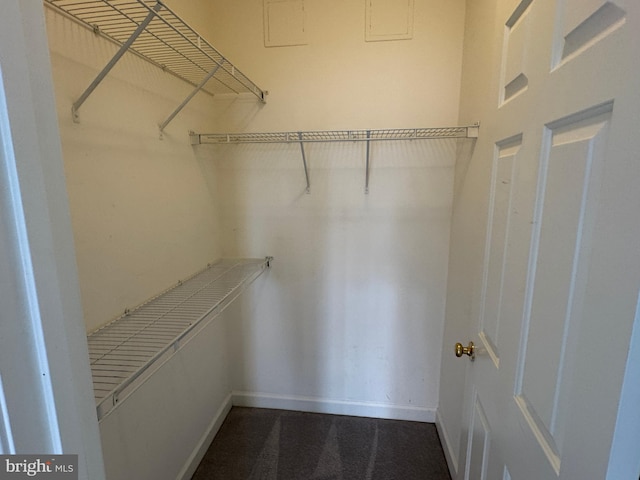 view of walk in closet