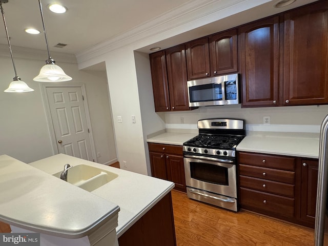 kitchen featuring sink, hanging light fixtures, light hardwood / wood-style floors, stainless steel appliances, and dark brown cabinets