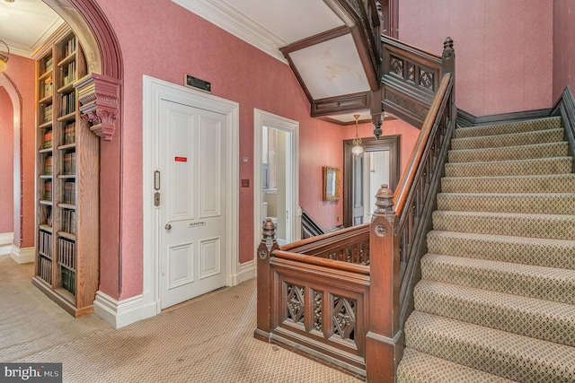 stairway with ornamental molding and carpet