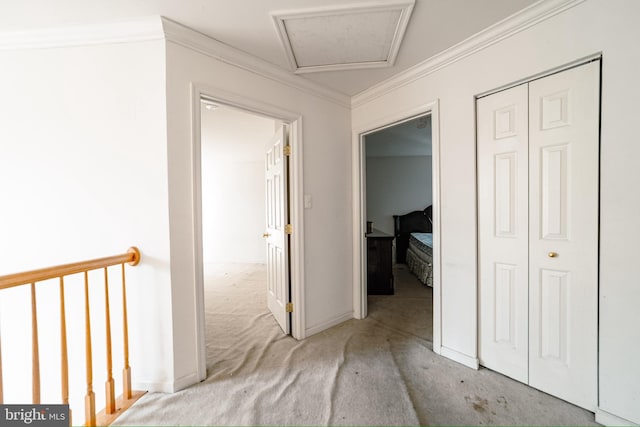 hall with crown molding and light colored carpet