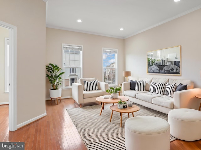 living room featuring ornamental molding and light hardwood / wood-style floors