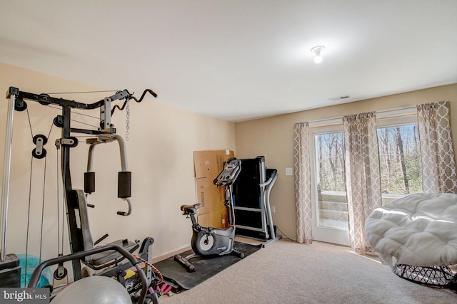 workout area with carpet flooring