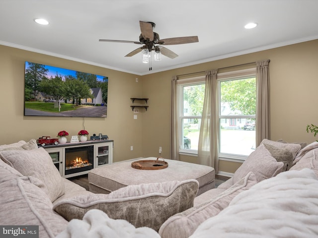 living room featuring crown molding, wood-type flooring, and ceiling fan