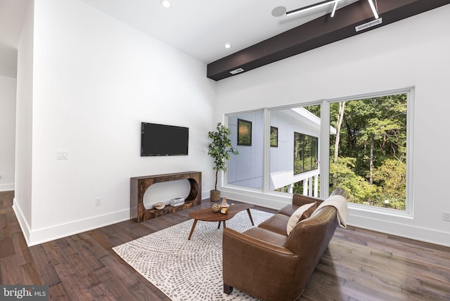 living room featuring dark hardwood / wood-style floors