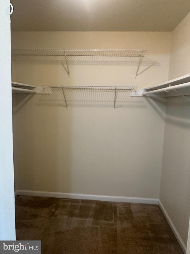 walk in closet featuring dark carpet