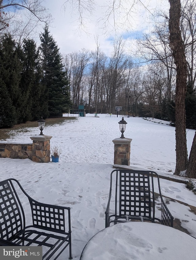 view of yard layered in snow