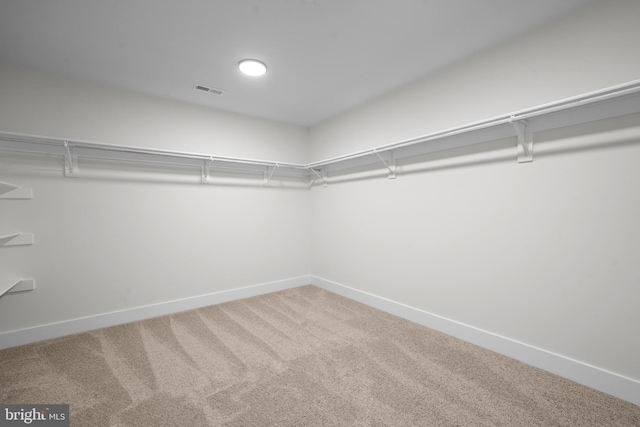 walk in closet featuring carpet