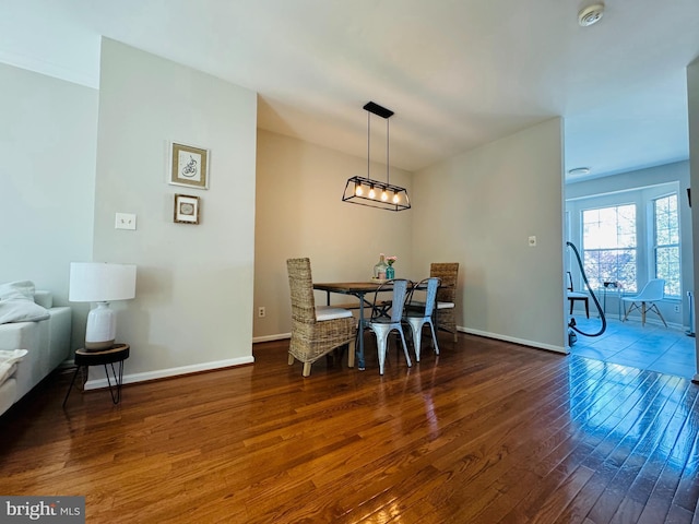 dining room with dark hardwood / wood-style floors