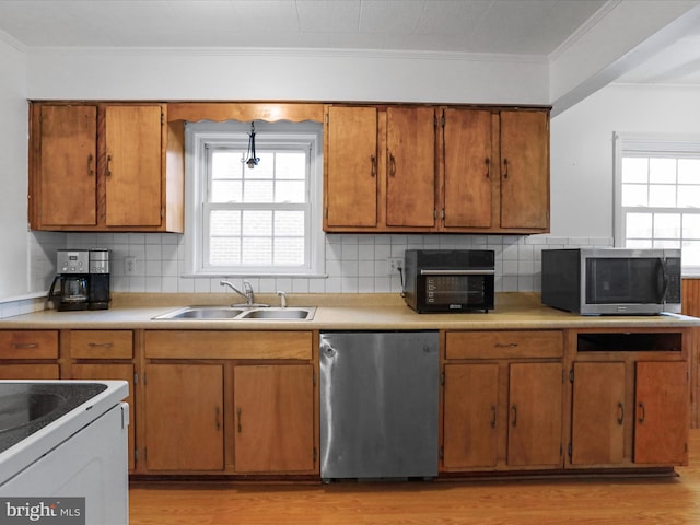 kitchen featuring a healthy amount of sunlight, sink, light hardwood / wood-style floors, and dishwasher