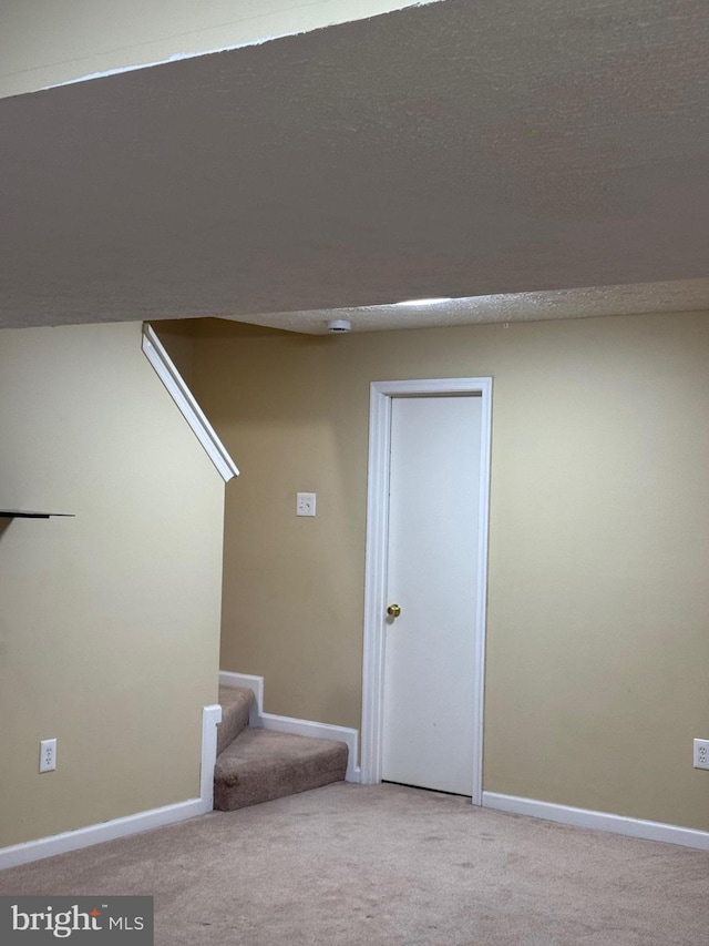 basement with carpet flooring