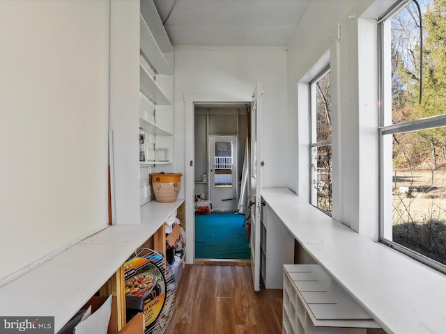 mudroom with dark wood-type flooring and a wealth of natural light