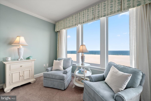 sitting room with a water view and carpet flooring