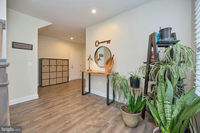 hallway featuring hardwood / wood-style floors