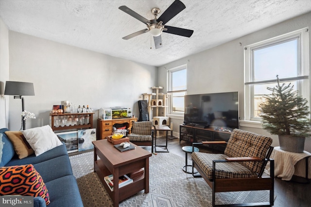 living room featuring ceiling fan and a textured ceiling