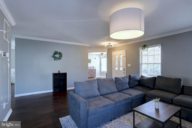 living room featuring crown molding, ceiling fan, and dark hardwood / wood-style flooring