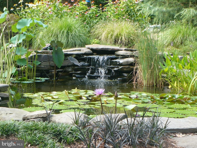 details featuring a small pond