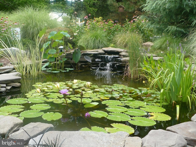 details featuring a garden pond