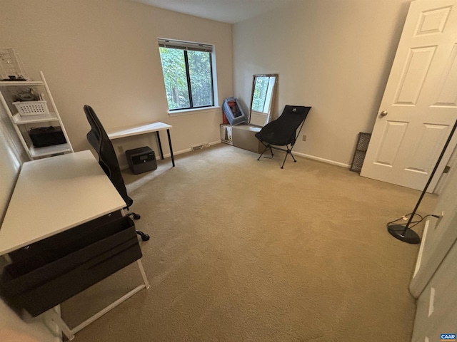 unfurnished office featuring carpet floors