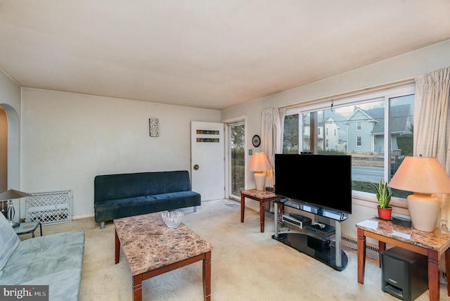 living room featuring light colored carpet