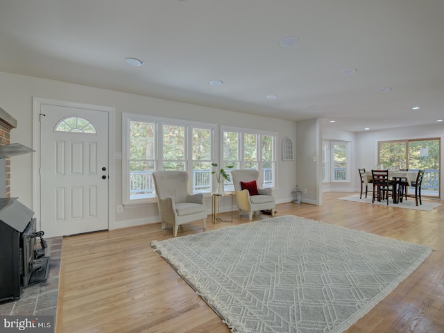 interior space with a healthy amount of sunlight, light hardwood / wood-style floors, and a wood stove