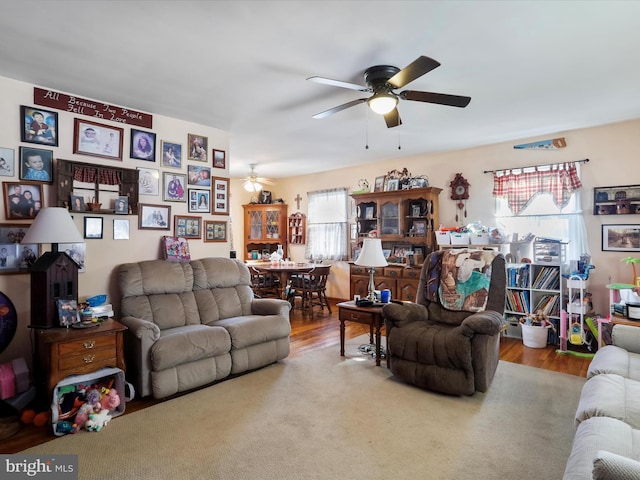 living room featuring ceiling fan and wood-type flooring