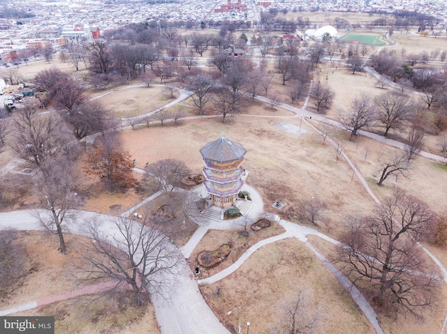 bird's eye view