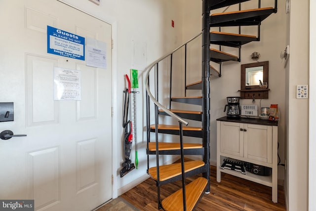 staircase with hardwood / wood-style floors