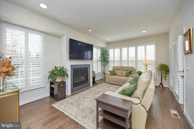 living room featuring dark hardwood / wood-style flooring