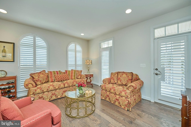 living room with hardwood / wood-style flooring