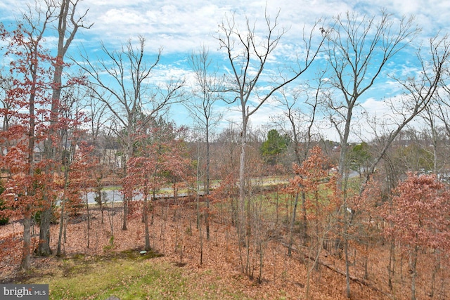 view of landscape