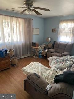 living room with ceiling fan and wood-type flooring