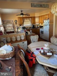 dining area featuring ceiling fan