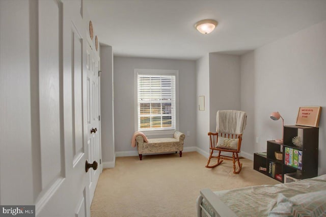 living area featuring light colored carpet