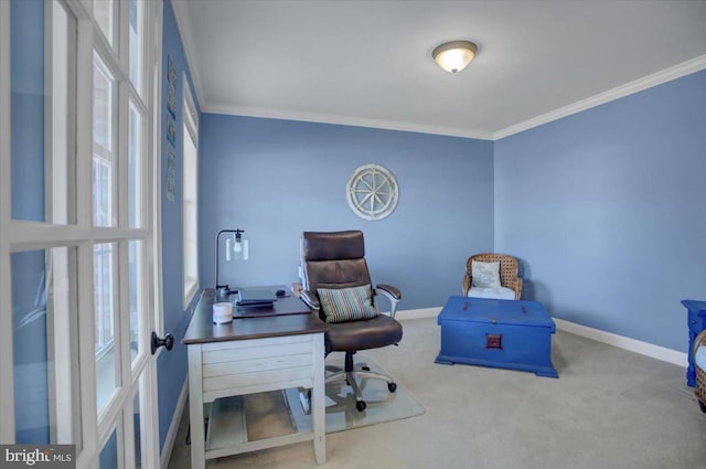 carpeted office with crown molding