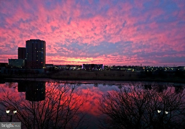 property view of water