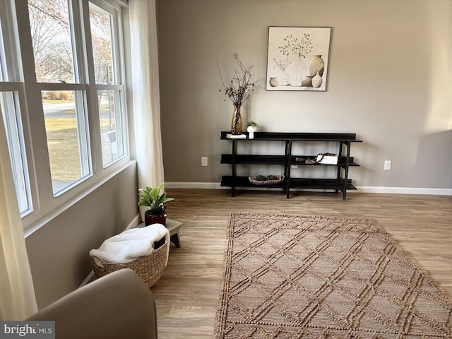 sitting room featuring hardwood / wood-style flooring and a wealth of natural light