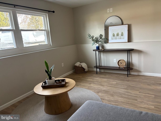 living area featuring hardwood / wood-style floors