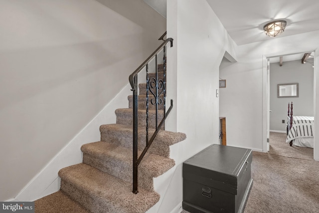 staircase featuring carpet floors